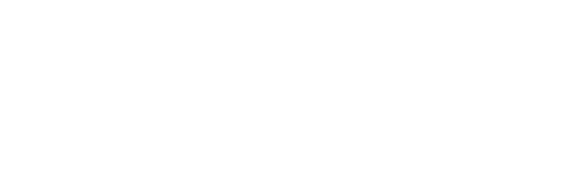 Niche_footer_logo.png